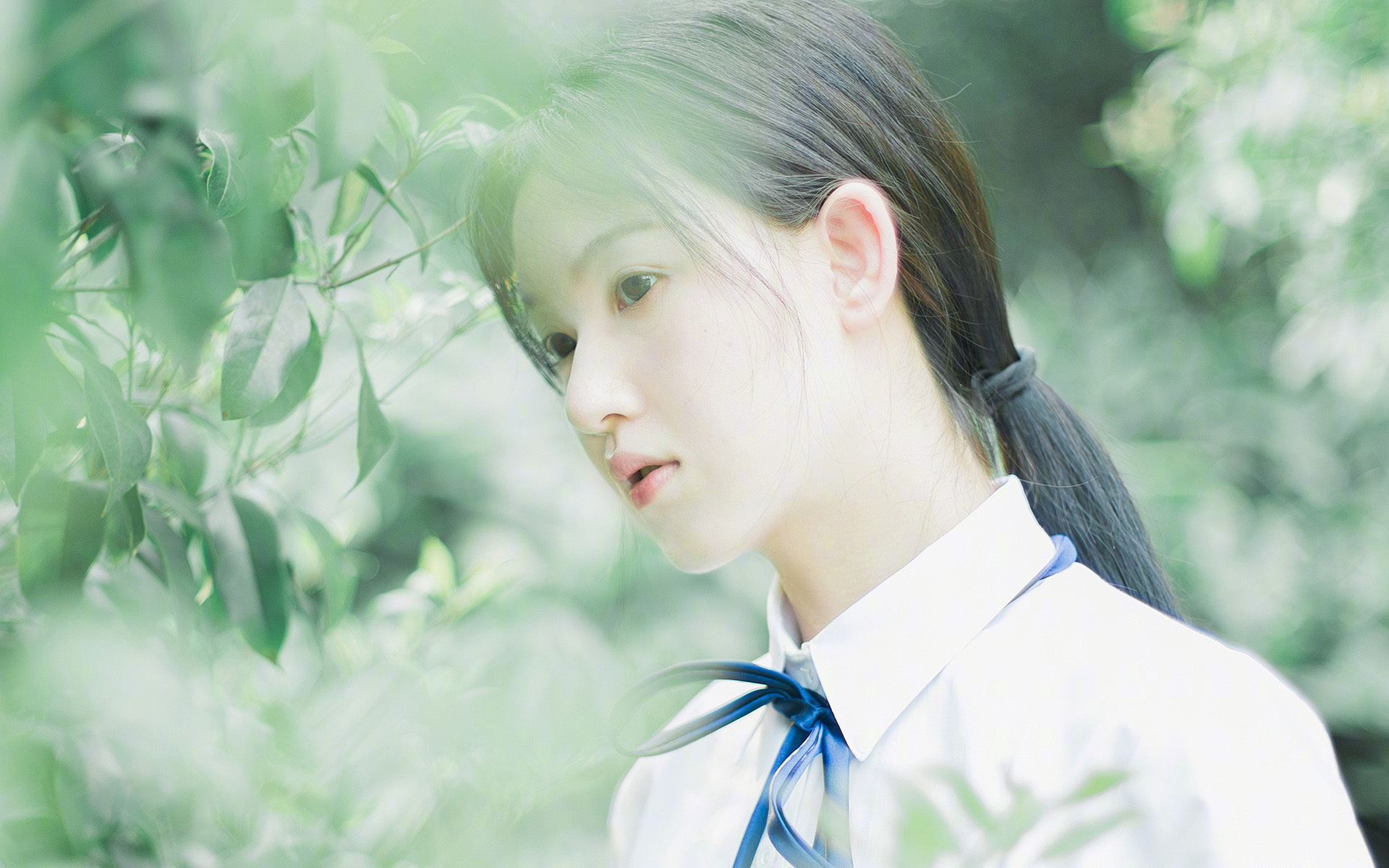 神秘代号库尔图瓦首次实战,北美新军竟以意式防反捅穿亚平宁防线?