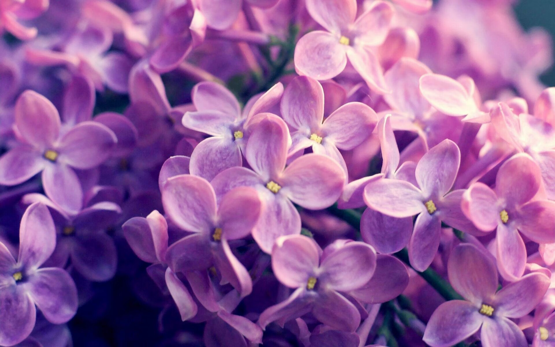 当东方蓝武士遇上红白军团，凯塞多火热状态点燃跨洲对决