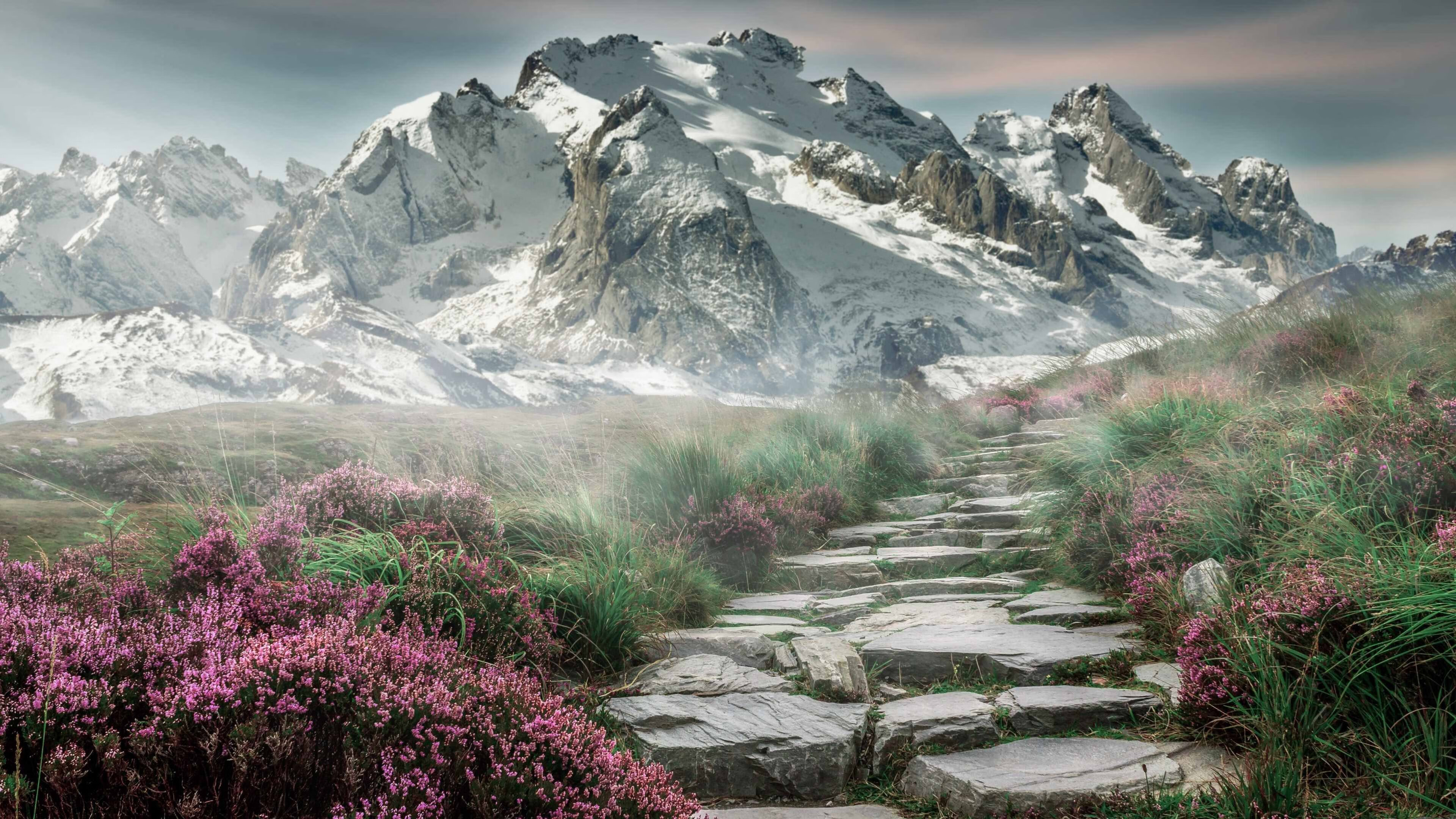 在世界杯的棋盘上,奥亚尔萨瓦尔是乌拉圭的隐形引擎,击碎突尼斯的沙漠之盾