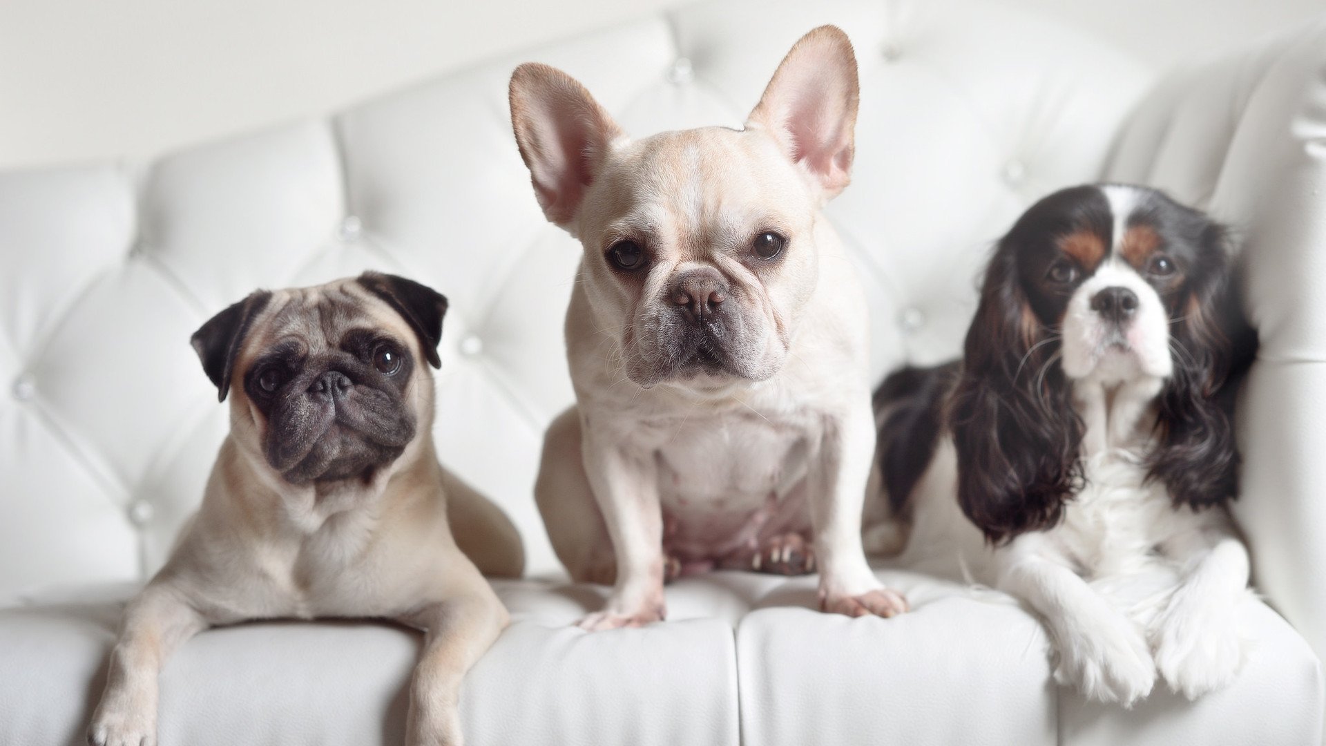 东瀛铁骑加时破坚冰，巴雷拉一剑封喉铸传奇