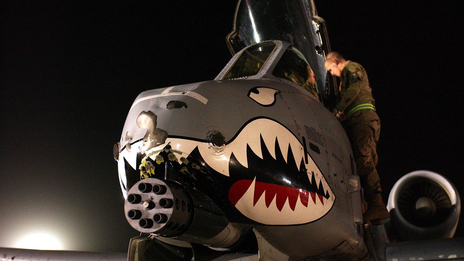 两个冠军,一夜狂欢