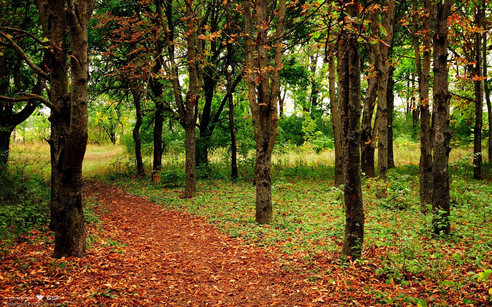 开云体育官网-1.恩比德制霸禁区，开拓者主场力克奇才锁定胜局
