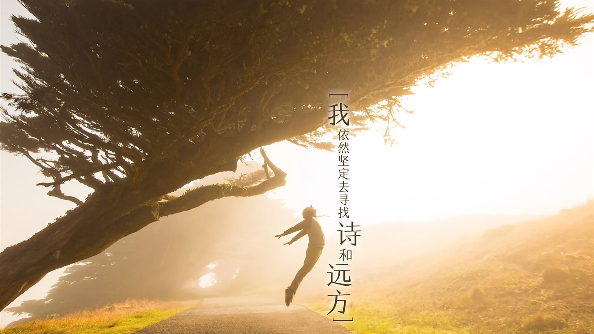 当圣保罗球场的蓝色,遇见特兰加雄狮的咆哮—2026,那不勒斯球员亲手拆解自己的王朝