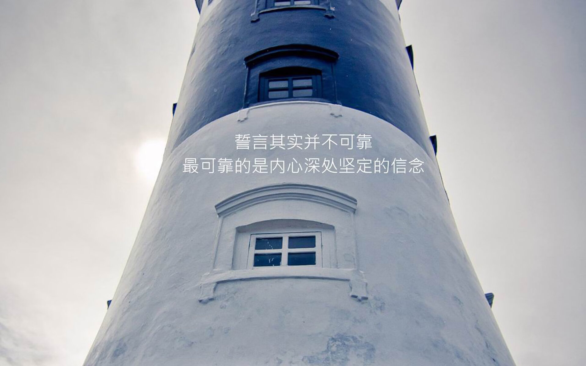 体育巅峰时刻，C罗冠军级表现与新西兰连续得分压制日本的深度解析