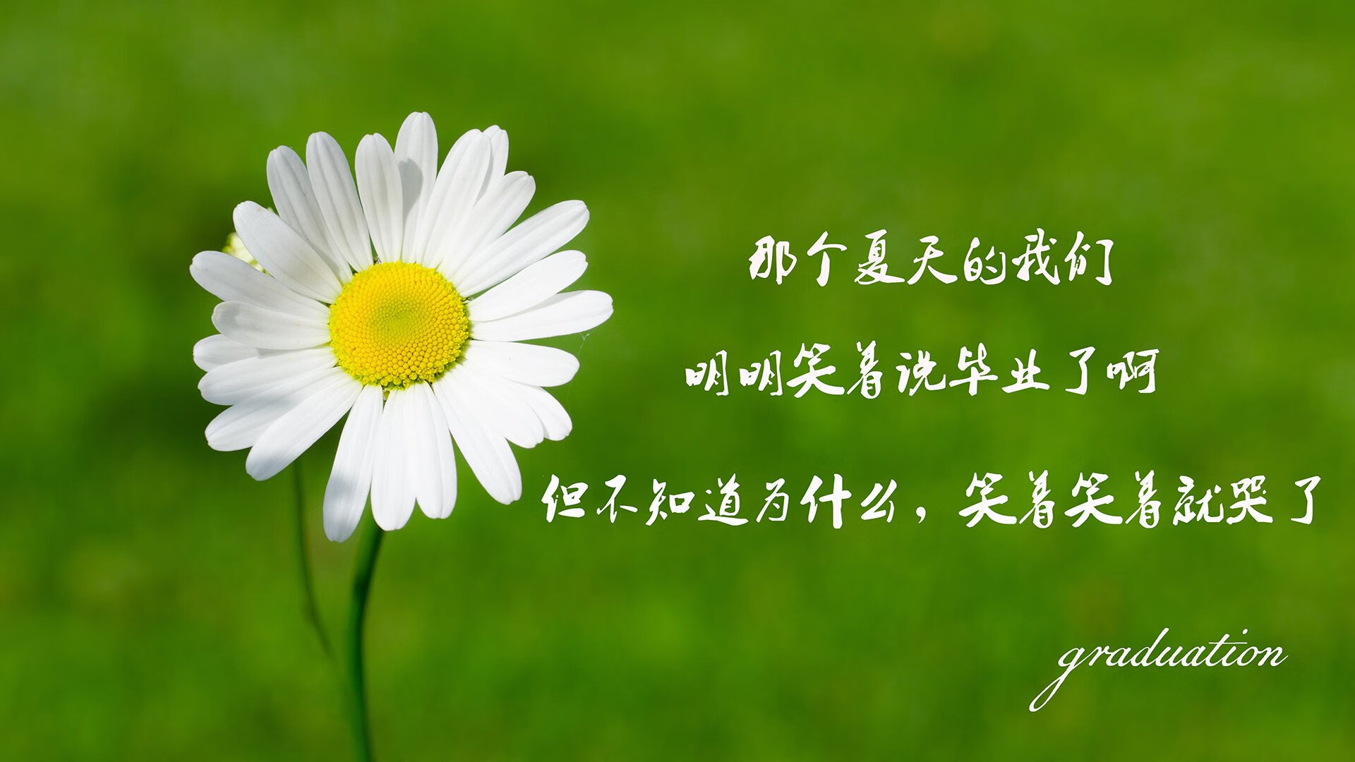 跨越维度的对话，当北京队遭遇鹈鹕，詹姆斯的时光魔法如何让球场静止