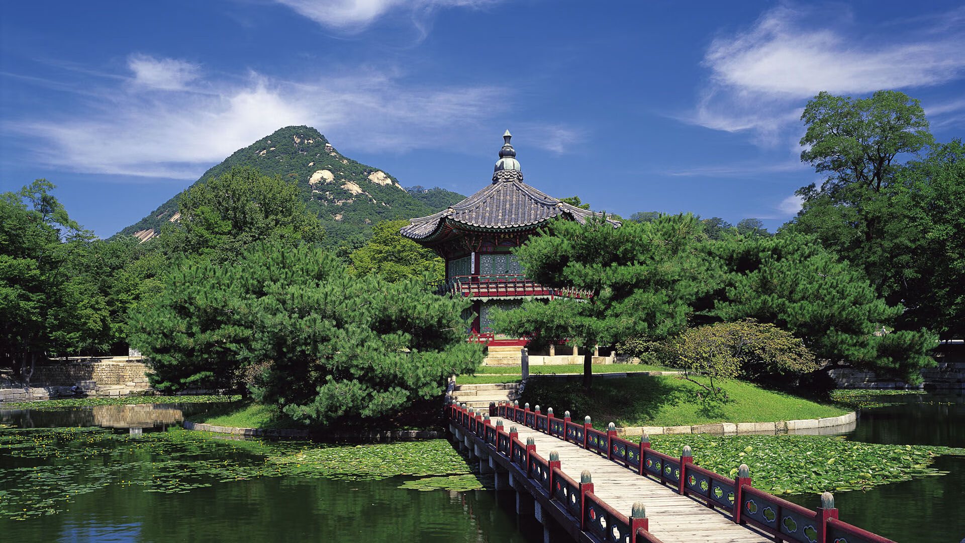战术革命与唯一艺术家，迪亚斯如何在2026世界杯E组焦点战中定义保加利亚的钢铁防线与波兰的碎裂黄昏