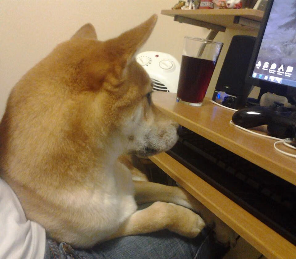 黑马狂奔的致命一击，当迪亚斯的灵光，照亮了E组死亡之组的黄昏